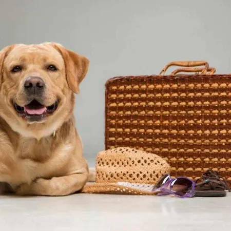 La Rectoral 1 Vv-1379-as Arriondas