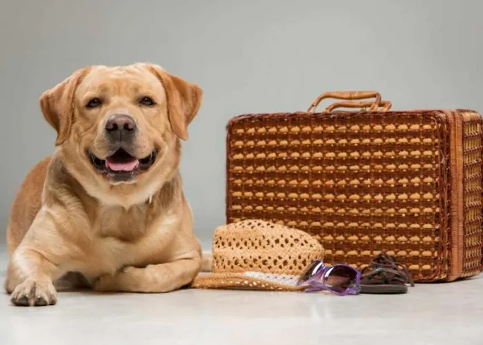 La Rectoral 1 Vv-1379-as Les Arriondes